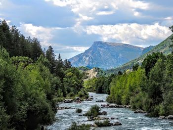 Scenic view of river in forest against sky