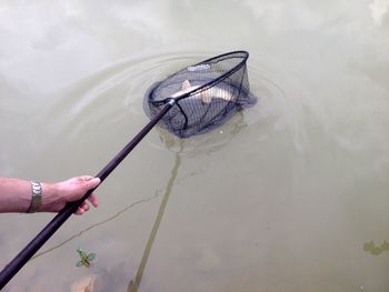 Close-up of hand holding fish in water