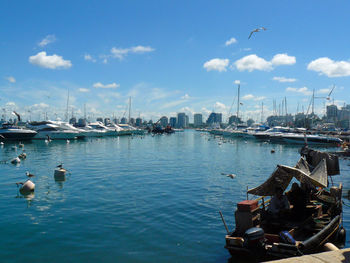 Sailboats moored at harbor against sky