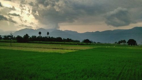 Scenic view of grassy field against cloudy sky
