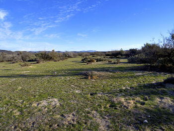 Scenic view of landscape against blue sky