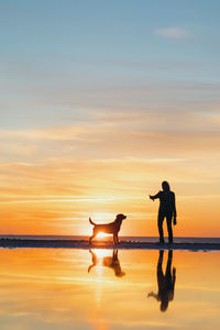 Silhouette of a man and a dog on the sea against the sunset. nature walk of a woman with a pet