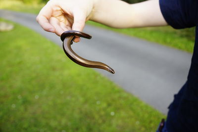 Close-up of hand holding snake