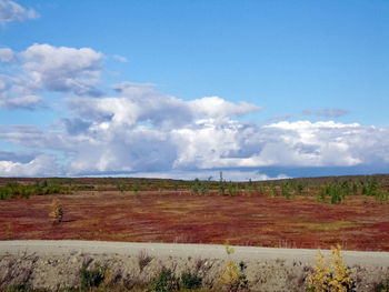 Scenic view of field against sky