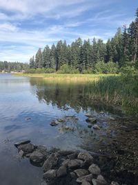 Scenic view of lake in forest against sky