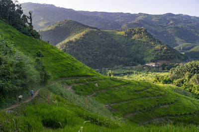 Scenic view of agricultural field against mountains