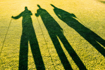 Shadow of male friends on grassy field