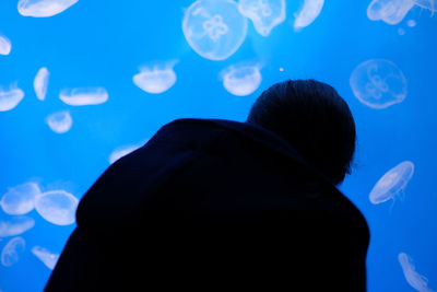 Low angle view of jellyfish underwater