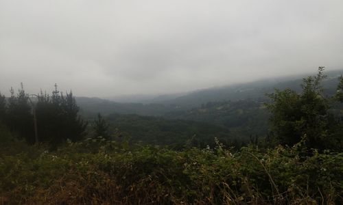 Scenic view of landscape against sky