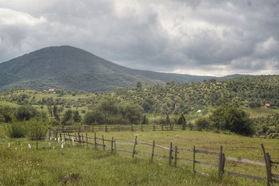 Scenic view of field against sky