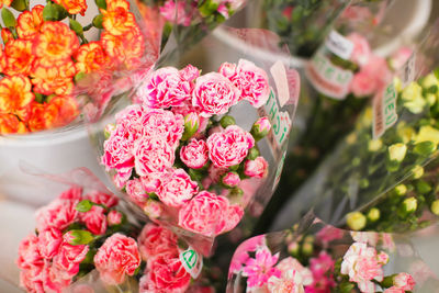 High angle view of pink flowering plant