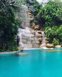 Scenic view of waterfall in forest