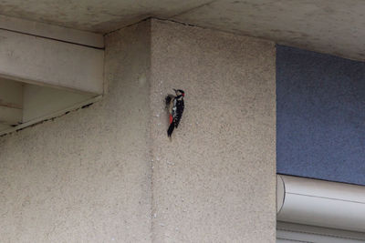 High angle view of people walking in building