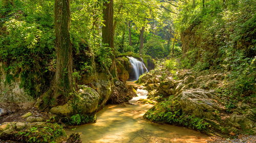 Stream flowing through rocks