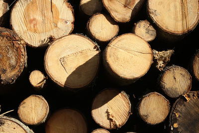 Full frame shot of logs in forest