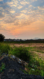 Scenic view of field against sky during sunset