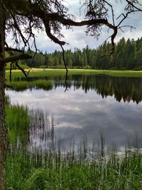 Scenic view of lake by trees against sky