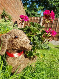 Close-up of stuffed toy against plants in yard