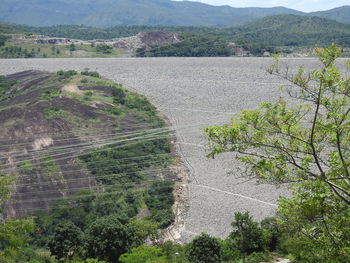 High angle view of plants by mountain