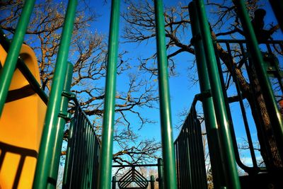 Low angle view of tree against blue sky