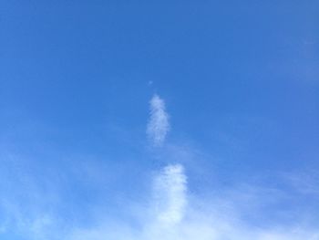 Low angle view of trees against blue sky