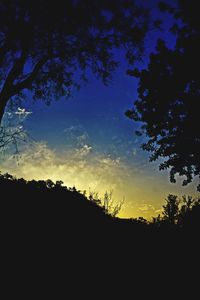 Low angle view of silhouette trees against sky during sunset