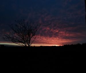 Silhouette bare trees on landscape against sky at sunset