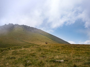 Scenic view of landscape against sky