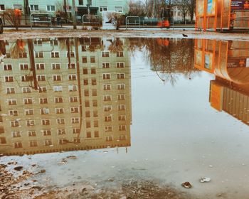 Reflection of buildings in water