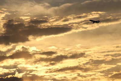 Low angle view of airplane flying in sky