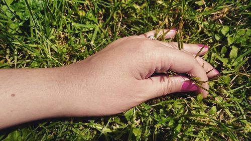 Close-up of hand on grass