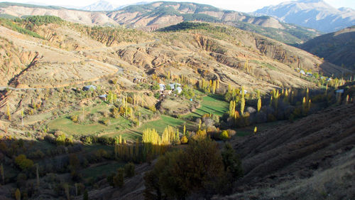 Scenic view of agricultural field