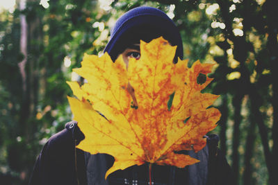 Close-up of autumn leaves