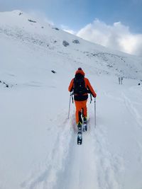 Rear view of person skiing on snowcapped mountain