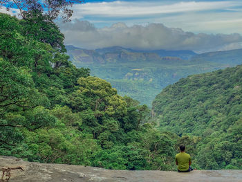 Rear view of man looking at mountains