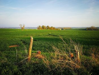 Scenic view of farm against sky