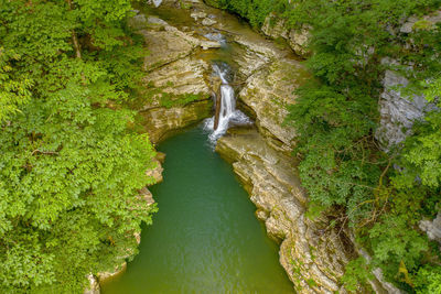 High angle view of stream amidst trees in forest