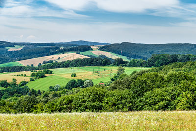 Scenic view of field against sky