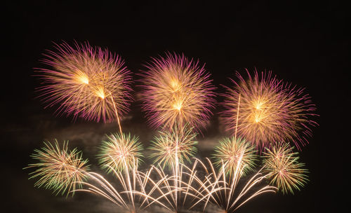 Low angle view of firework display against sky at night