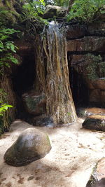 Water flowing through rocks in forest