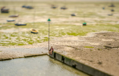 High angle view of people on land