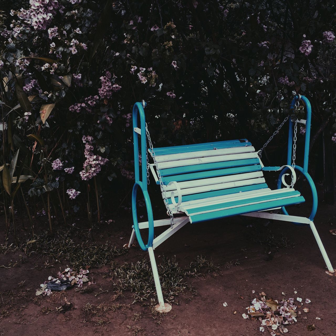 empty, chair, absence, bench, seat, park bench, day, blue, no people, table, sunlight, high angle view, relaxation, outdoors, nature, shadow, still life, furniture, tranquility, park - man made space