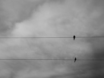 Low angle view of birds on cables against clouds