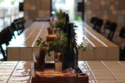 Close-up of bottle with plant in serving tray on table at restaurant