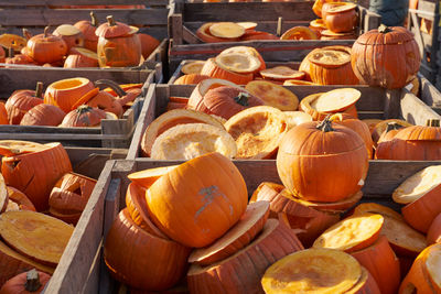 Halloween pumpkins in wooden boxes on the market