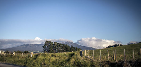 New zealand mountains