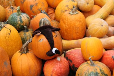 Pumpkins in market