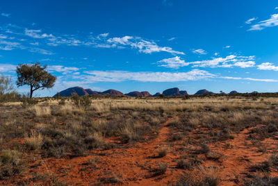 Scenic view of field against blue sky