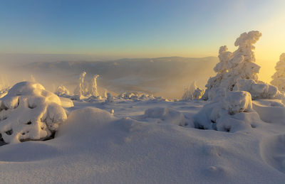 Scenic view of snow covered mountain