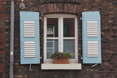 Potted plant on window of building